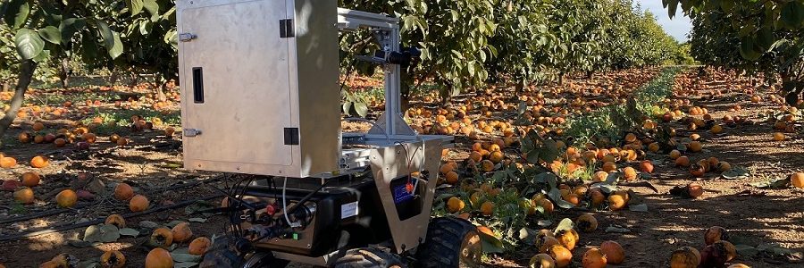 Ainia desarrolla un robot para recolectar la fruta caída y reducir el desperdicio alimentario