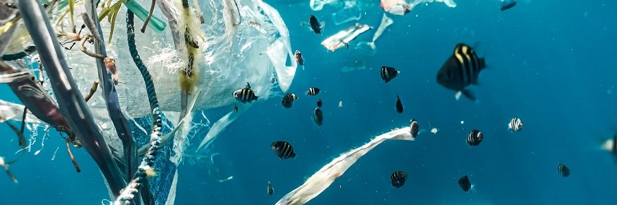 La solución no es recoger el plástico del mar, es que no llegue