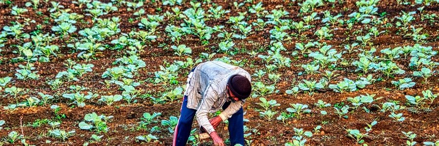 El uso de fertilizantes ha contaminado y degradado los suelos durante años. ¿Qué se está haciendo para revertir la situación?