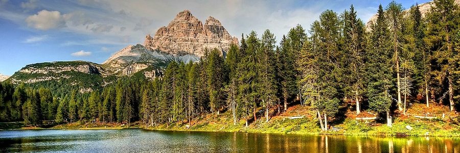 Las bacterias pueden eliminar la contaminación plástica de los lagos