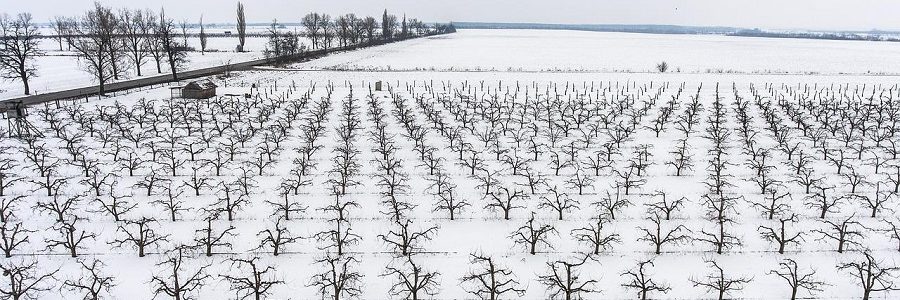 Contra el cambio climático, más compostaje