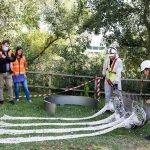 Zaragoza instala grandes ‘coladores’ para evitar la llegada de toallitas higiénicas a los ríos