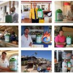 Ecovidrio reconoce a nueve establecimientos hosteleros como los más sostenibles de las costas españolas