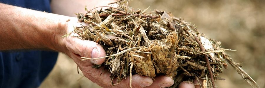 Un proyecto busca potenciar el uso de la biomasa no valorizada como recurso energético