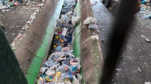 Nuevos límites a los contaminantes orgánicos persistentes