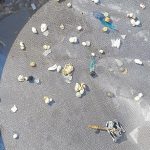 ¿Son eficaces los dispositivos mecánicos para limpiar el mar de plásticos?