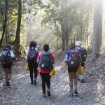 Los ‘ecoalbergues’ del Camino de Santiago recogieron 276 toneladas de residuos de envases este verano