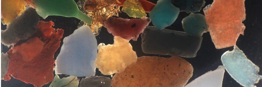 El sol y las bacterias degradan una parte de la sopa de plástico del océano