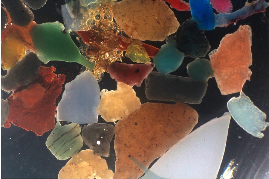 Sol y bacterias degradan el plástico del mar