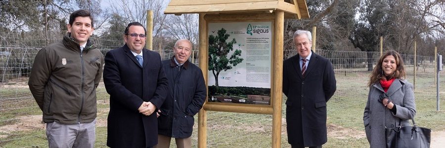 El Undécimo Bosque SIGAUS ya es una realidad en Boadilla del Monte