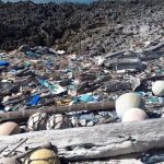 El remoto origen de los residuos plásticos que se acumulan las playas de Seychelles