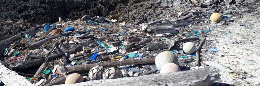 El remoto origen de los residuos plásticos que se acumulan las playas de Seychelles