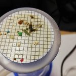 Alertan de la elevada presencia de microplásticos en las aguas españolas