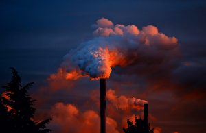 la UE exporta impactos ambientales a otros países