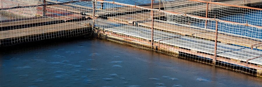 Un proyecto convertirá los residuos plásticos del mar en productos para acuicultura