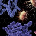 Reducir la contaminación es clave para combatir a las superbacterias