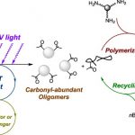 Investigadores usan la luz para convertir lignina en plásticos reciclables