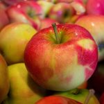 Obtienen biogás a partir de residuos de producción de zumo de manzana