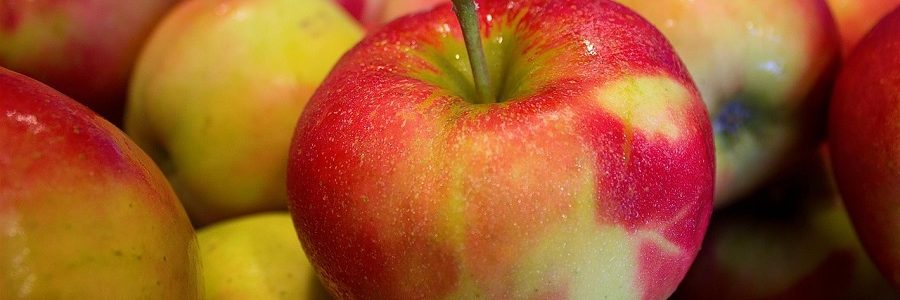 Obtienen biogás a partir de residuos de producción de zumo de manzana