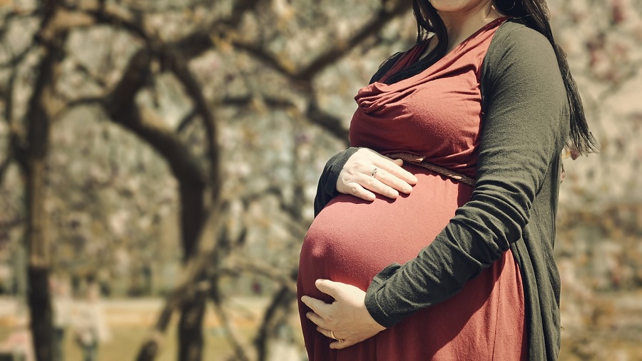 los nanoplásticos podrían pasar de la madre al feto, según un estudio