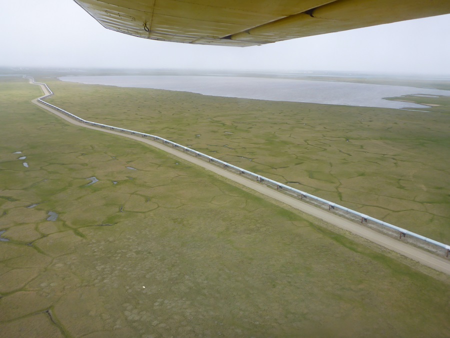 La amenaza de la contaminación industrial heredada del permafrost del Ártico