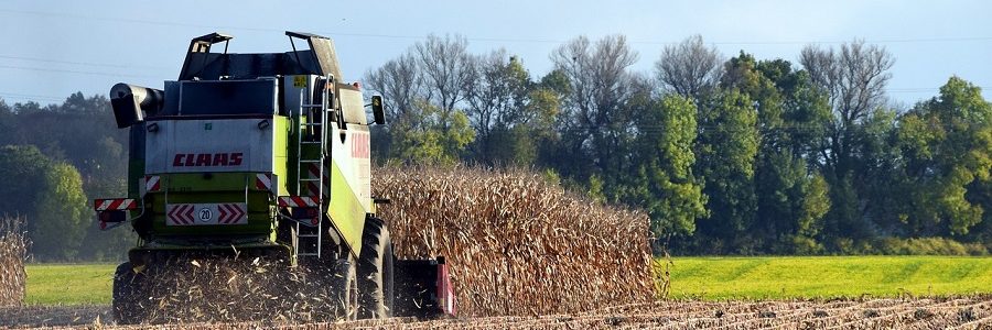 Dow desarrollará nuevos plásticos a partir de residuos de maíz