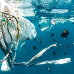 Reutilizar, reciclar y reorientar, claves para reducir hasta un 80% los residuos plásticos, según la ONU