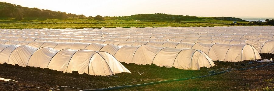 Valorización de residuos de mataderos y papeleros para obtener bioplásticos y fertilizantes