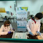 Avances significativos en la degradación de plásticos mediante consorcios microbianos