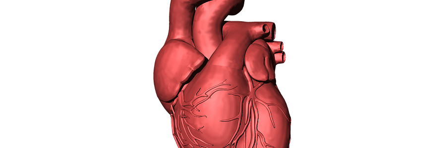 Encuentran microplásticos en corazones humanos