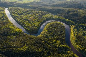 El greenwashing amenaza la naturaleza positiva