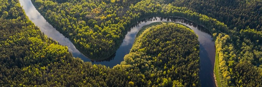 El greenwashing es una amenaza para una ‘naturaleza positiva’