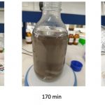 Nanopartículas ‘reutilizables’ elaboradas con residuos del olivar para descontaminar aguas residuales