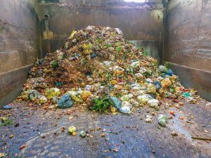 Una investigación desaconseja usar bolsas biodegradables para residuos orgánicos