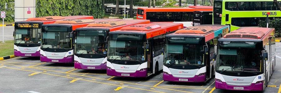 La industria del biogás celebra el reconocimiento de la Eurocámara al papel del biometano en la descarbonización del transporte