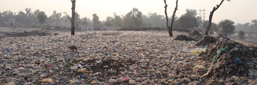 La UE acuerda reforzar las sanciones por delitos contra el medio ambiente