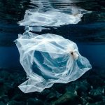 Un millón de toneladas de aditivos plásticos se vierten cada año a los océanos