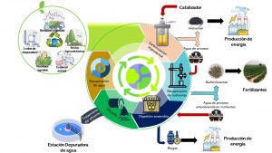 Convierten residuos orgánicos en biocombustible y biofertilizantes