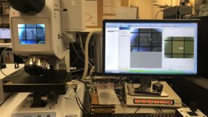 Inteligencia Artificial para identificar microplásticos
