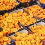 Proyecto para obtener productos cosméticos a partir de residuos de fruta