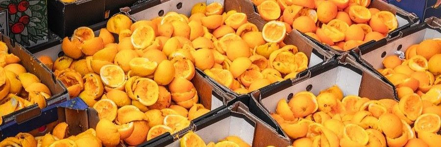 Proyecto para obtener productos cosméticos a partir de residuos de fruta