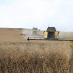 Los científicos proporcionan la receta para reducir a la mitad la contaminación generada por la producción de alimentos