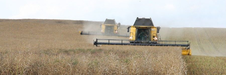 Los científicos proporcionan la receta para reducir a la mitad la contaminación generada por la producción de alimentos