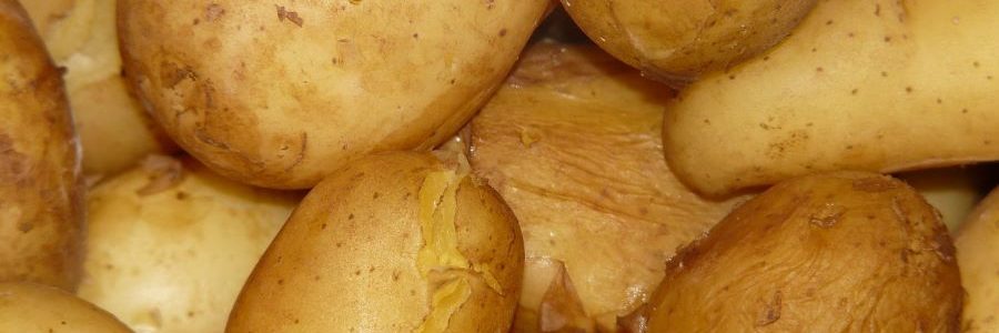 Compuestos del plástico se trasfieren a las patatas envasadas al cocerlas en el microondas