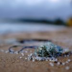 Lo que sabemos hasta ahora sobre el vertido de pélets de plástico en Galicia