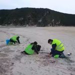 Cómo se comportan los pélets de plástico en el medio marino
