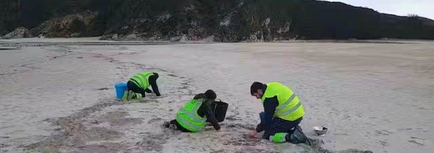 Cómo se comportan los pélets de plástico en el medio marino