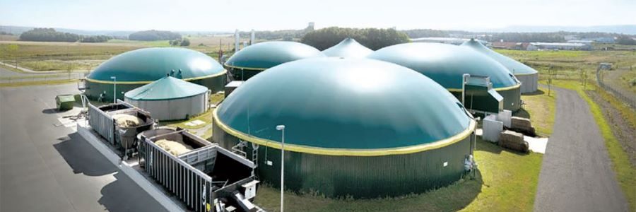 Bioenergy Ibérica y Dominion se asocian para desarrollar proyectos de valorización energética de residuos