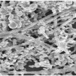 Identifican por primera vez la forma y composición de nanoplásticos presentes en los océanos