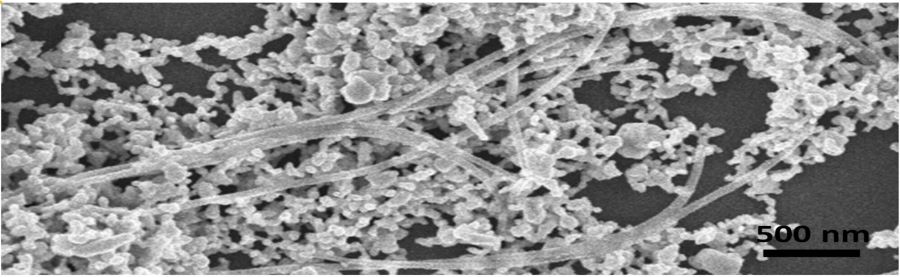 Identifican por primera vez la forma y composición de nanoplásticos presentes en los océanos